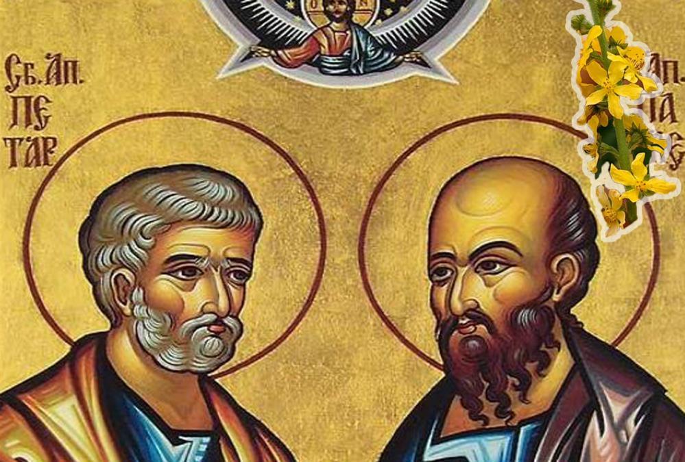 danas-je-petrovdan,-jedan-od-najvecih-praznika-i-obelezen-je-crvenim-slovom:-veruje-se-da-obavezno-treba-ispostovati-ove-obicaje danas-je-petrovdan,-jedan-od-najvecih-praznika-i-obelezen-je-crvenim-slovom:-veruje-se-da-obavezno-treba-ispostovati-ove-obicaje