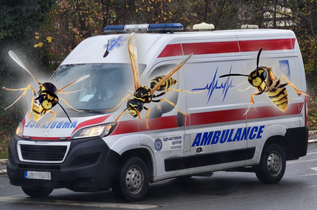 drama-u-beogradu,-rojevi-osa-seju-smrt!-muskarac-(39)-izujedan-po-glavi-i-vratu-preminuo-u-domu-zdravlja:-evo-sta-morate-da-uradite-odmah-ako-vas-ubode drama-u-beogradu,-rojevi-osa-seju-smrt!-muskarac-(39)-izujedan-po-glavi-i-vratu-preminuo-u-domu-zdravlja:-evo-sta-morate-da-uradite-odmah-ako-vas-ubode
