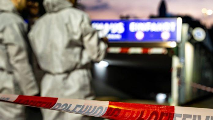 sin-nemackog-milionera-iskasapio-macehu-iz-berana!-nasrnuo-na-nju-nozem,-pa-je-ubadao-do-smrti:-evo-koliko-ce-robijati