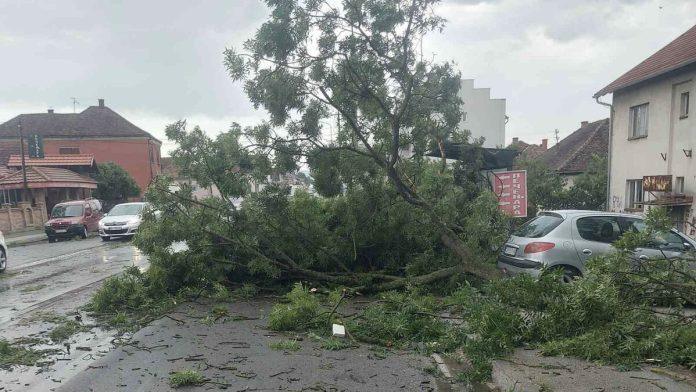 nevreme-napravilo-haos-u-ovom-gradu-u-srbiji!-grad,-potop-i-olujni-vetar-opustosili-mesto:-vetar-cupao-drvece,-stabla-blokirala-puteve-(foto)