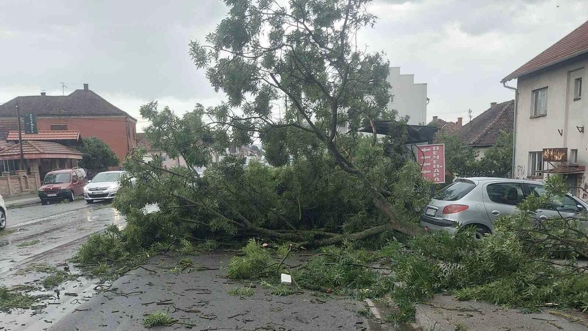 nevreme-napravilo-haos-u-ovom-gradu-u-srbiji!-grad,-potop-i-olujni-vetar-opustosili-mesto:-vetar-cupao-drvece,-stabla-blokirala-puteve-(foto) nevreme-napravilo-haos-u-ovom-gradu-u-srbiji!-grad,-potop-i-olujni-vetar-opustosili-mesto:-vetar-cupao-drvece,-stabla-blokirala-puteve-(foto)