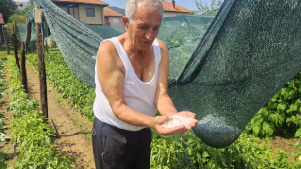 Јако-невреме-код-Пријепоља,-уништени-засади-шљива-и-крушака Јако-невреме-код-Пријепоља,-уништени-засади-шљива-и-крушака