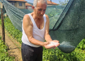 Јако невреме код Пријепоља, уништени засади шљива и крушака Јако-невреме-код-Пријепоља,-уништени-засади-шљива-и-крушака