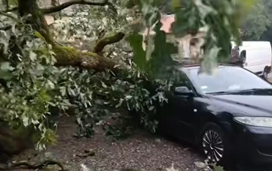 nevreme-napravilo-haos-u-ovom-gradu-u-srbiji:-olujni-vetar-oborio-veliki-hrast,-drvo-palo-na-automobil!(video) nevreme-napravilo-haos-u-ovom-gradu-u-srbiji:-olujni-vetar-oborio-veliki-hrast,-drvo-palo-na-automobil!(video)