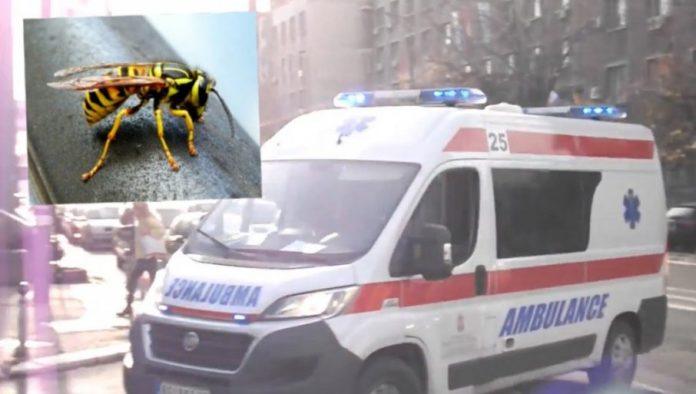 ispovest-zene-koja-je-jedva-prezivela-ubod-strsljena:-za-nekoliko-sekundi-nisam-mogla-da-disem,-a-onda-je-usledilo-nesto-gore