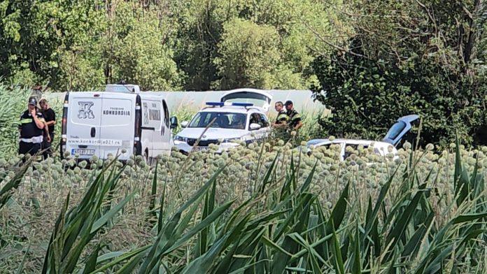 identifikovane-dve-zrtve-teske-nesrece-u-novom-sadu!-robert-(32)-i-kristina-(34)-stradali-u-kanalu-smrti,-auto-jedva-izvucen-iz-vode:-zandarmerija-ceslja-teren-(foto,-video)