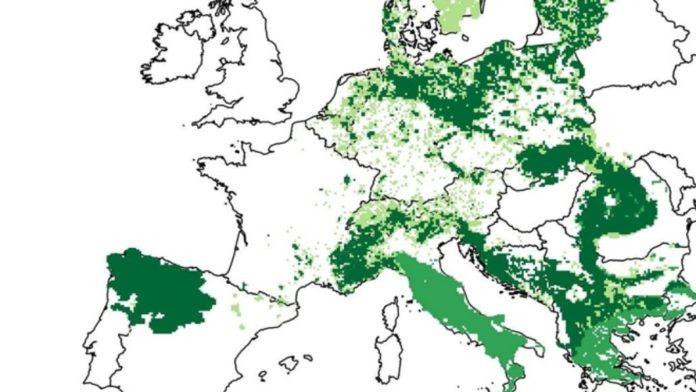 gotovo-izumrli-predator-opet-osvaja-evropu:-deo-srbije-je-vec-uveliko-modro-zelen-(mapa)