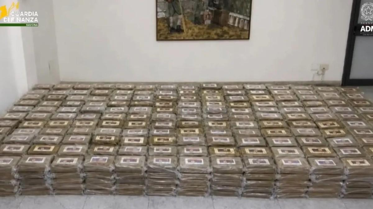 “sigurno-je-roba-koju-je-italijanska-mafija-pakovala-za-balkanski-kartel”-strucnjaci-za-“blic”-tv-o-paketima-kokaina-sa-srpskom-zastavom:-“to-apsolutno-ne-znaci-da-je-namenjen-za-srbiju” “sigurno-je-roba-koju-je-italijanska-mafija-pakovala-za-balkanski-kartel”-strucnjaci-za-“blic”-tv-o-paketima-kokaina-sa-srpskom-zastavom:-“to-apsolutno-ne-znaci-da-je-namenjen-za-srbiju”