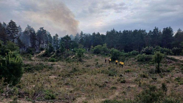 veliki-pozar-u-deliblatskoj-pescari-vatra-zahvatila-borovu-sumu,-jak-vetar-otezava-gasenje:-u-pomoc-stigao-i-helikopter-“super-puma”-(foto,-video)
