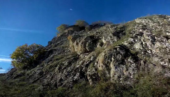 nesvakidasnji-prizor-sa-srpske-planine-bogate-zlatom!-pogledajte-kakav-je-snimak-nastao-u-netaknutoj-prirodi-rogozne:-iz-sume-izronili-neocekivani-gosti!-video