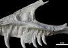 Retki fosil dinosaurusa pronađen u Kanadi menja dosadašnje razumevanje drevnih predatora: “Pronašli smo “deda-unuka” T reksa” retki-fosil-dinosaurusa-pronaden-u-kanadi-menja-dosadasnje-razumevanje-drevnih-predatora:-“pronasli-smo-“deda-unuka”-t-reksa”