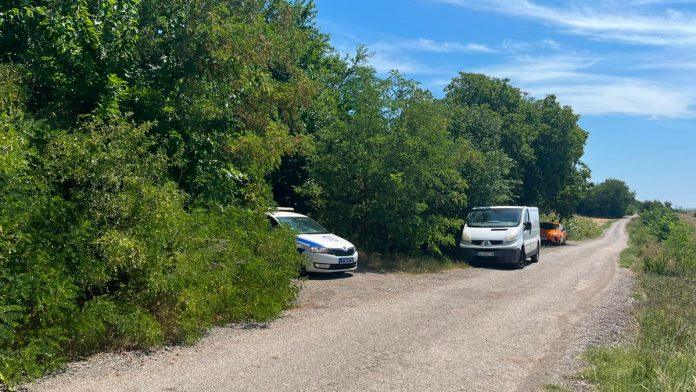 (foto,-video)-“blic”-na-mestu-pucnjave-u-batajnici-ovde-je-ranjen-vlasnik-azila-za-pse:-sa-napadacem-bio-u-sukobu-od-ranije