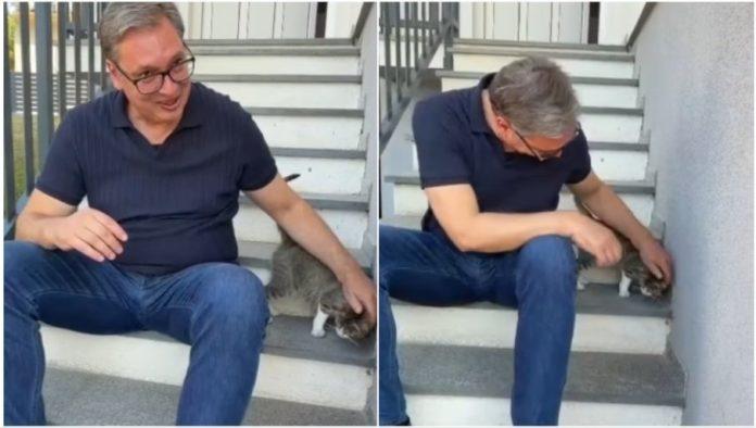 “izgleda-da-je-i-ona-svratila-da-vidi-ko-je-stigao”-vucic-podelio-nesvakidasnji-snimak-ispred-kuce-u-cipuljicu-(video)