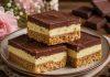 NANAIMO KOCKE: Kremasti kolač bez pečenja nanaimo-kocke:-kremasti-kolac-bez-pecenja