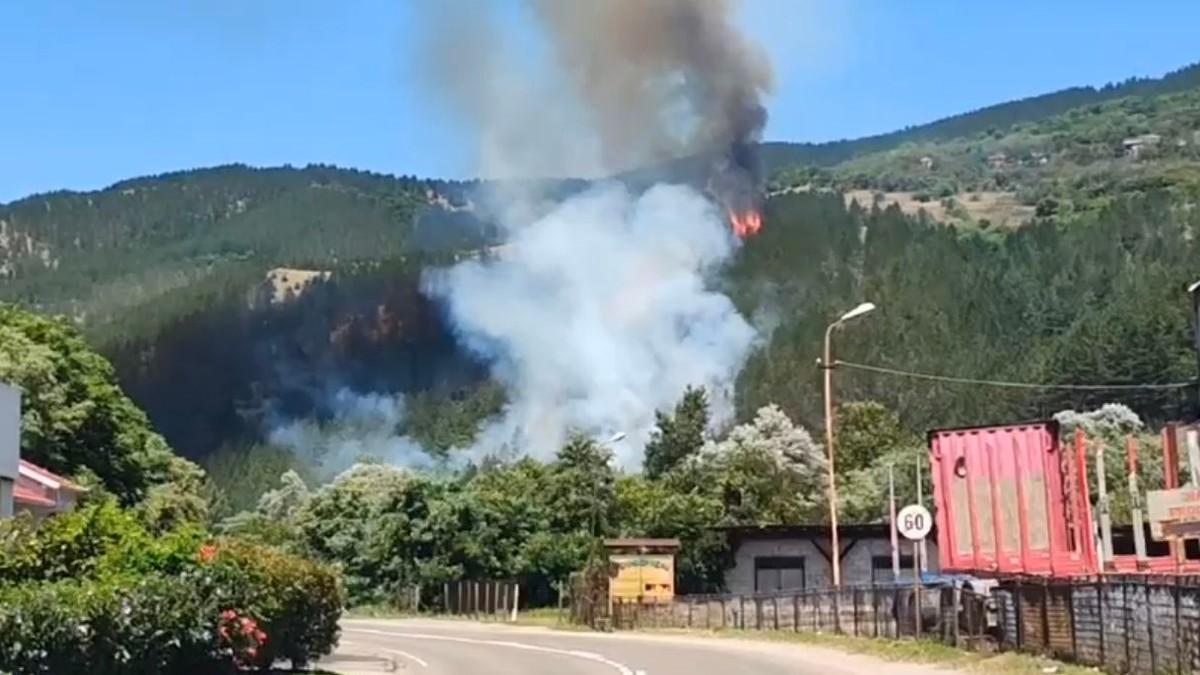 (foto,-video)-pozar-u-dolini-jorgovana!-vatra-zahvatila-sumu-iznad-ibra,-vozaci-oprez:-smanjena-vidljivost-kroz-magistralu (foto,-video)-pozar-u-dolini-jorgovana!-vatra-zahvatila-sumu-iznad-ibra,-vozaci-oprez:-smanjena-vidljivost-kroz-magistralu