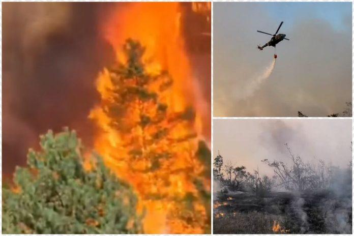 devet-pozara-besni-u-srbiji,-evo-gde-je-najgore:-ogroman-broj-vatrogasaca-na-terenu,-u-deliblatskoj-pescari-se-poboljsava-situacija