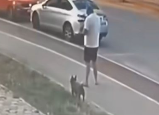 (UZNEMIRUJUĆ VIDEO) PRIŠAO MU DOK JE ŠETAO PSA I UPUCAO GA U GLAVU! Isplivao jeziv snimak pokušaja ubistva Elezovog saradnika u Sarajevu: Policija strahuje od jednog scenarija (uznemirujuc-video)-prisao-mu-dok-je-setao-psa-i-upucao-ga-u-glavu!-isplivao-jeziv-snimak-pokusaja-ubistva-elezovog-saradnika-u-sarajevu:-policija-strahuje-od-jednog-scenarija
