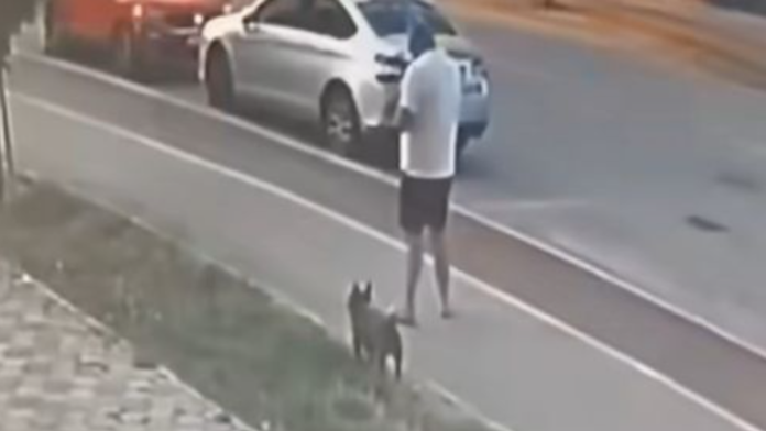 (uznemirujuc-video)-prisao-mu-dok-je-setao-psa-i-upucao-ga-u-glavu!-isplivao-jeziv-snimak-pokusaja-ubistva-elezovog-saradnika-u-sarajevu:-policija-strahuje-od-jednog-scenarija