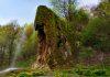 (FOTO) NA MANJE OD 2 SATA OD BEOGRADA NALAZI SE “SRPSKI BALI” Skriveni gigant izgleda NESTVARNO, a do njega se dolazi na samo jedan način: Tamo nema dometa i interneta (foto)-na-manje-od-2-sata-od-beograda-nalazi-se-“srpski-bali”-skriveni-gigant-izgleda-nestvarno,-a-do-njega-se-dolazi-na-samo-jedan-nacin:-tamo-nema-dometa-i-interneta