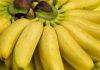 ZAŠTO SU MINI BANANE TAKO MALENE: Nisu nedozrele i nisu ubrane prerano – Evo u čemu je caka! zasto-su-mini-banane-tako-malene:-nisu-nedozrele-i-nisu-ubrane-prerano-–-evo-u-cemu-je-caka!