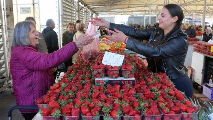 velika-vest-za-srpske-vocare-brisel-presekao:-nase-jagodicasto-voce-proslo-proveru-i-moze-na-evropsko-trziste