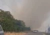 (VIDEO) CRNI OBLAK PREKRIO SREM, VIDLJIVOST DRASTIČNO SMANJENA! Dramatične scene kod Kupinova i Ašanje: Požar besni pored puta, hitno zatvorene pojedine deonice (video)-crni-oblak-prekrio-srem,-vidljivost-drasticno-smanjena!-dramaticne-scene-kod-kupinova-i-asanje:-pozar-besni-pored-puta,-hitno-zatvorene-pojedine-deonice