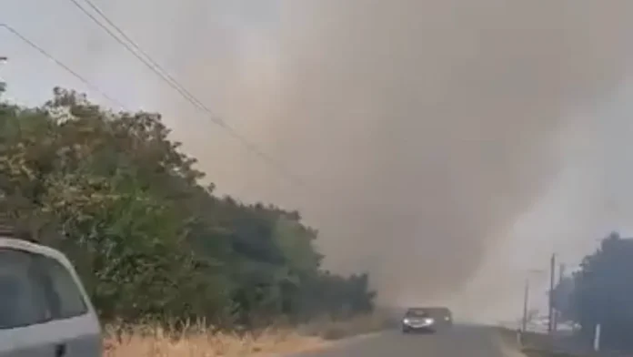 (video)-crni-oblak-prekrio-srem,-vidljivost-drasticno-smanjena!-dramaticne-scene-kod-kupinova-i-asanje:-pozar-besni-pored-puta,-hitno-zatvorene-pojedine-deonice