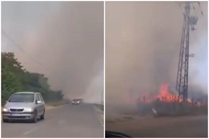 bukte-pozari-u-sremu:-vatra-guta-hektare-kod-kupinova,-sve-raspolozive-vatrogasne-snage-na-terenu-(video)