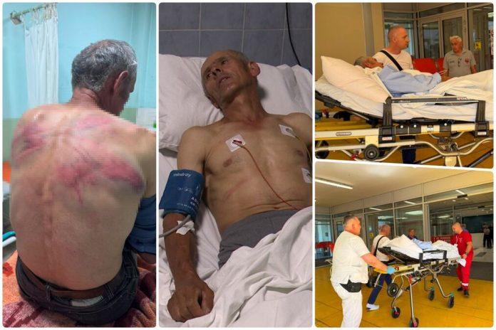 kfor-se-povlaci,-srbi-strahuju:-bezbednost-na-kim-“poboljsana”,-a-srbe-vezuju-za-drvo-i-tuku!