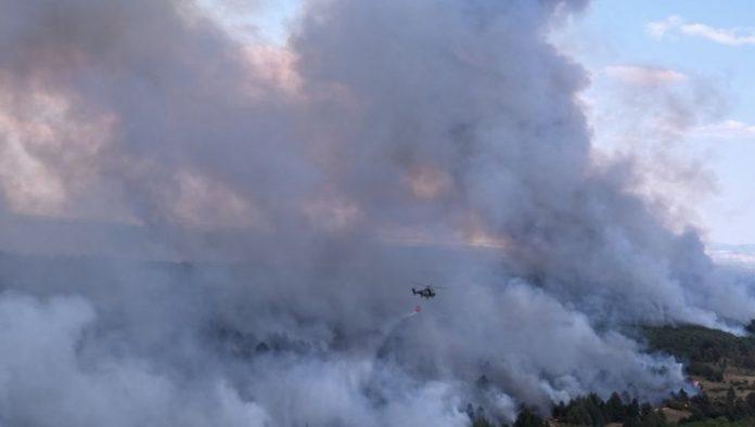 vanredno-obracanje-iz-deliblatske-pescare:-ovo-su-najnovije-informacije-o-pozaru