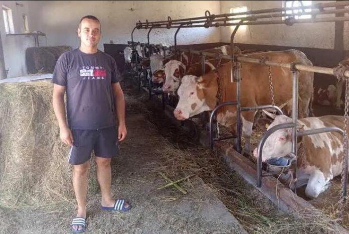 vise-mleka,-bolja-hrana-i-veca-zarada:-kragujevac-sprovodi-projekat-za-unapredenje-stocarske-proizvodnje