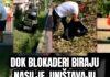 DOK JEDNI RUŠE, DRUGI GRADE! Aktivisti SNS pokazuju svakoga dana kako se brine o prestonici (VIDEO) dok-jedni-ruse,-drugi-grade!-aktivisti-sns-pokazuju-svakoga-dana-kako-se-brine-o-prestonici-(video)