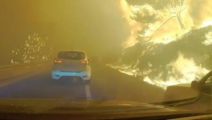letovanje-se-pretvorilo-u-borbu-za-zivot-potresan-snimak-iz-omisa:-porodica-bezi-od-vatre,-i-dete-(3)-bilo-u-automobilu-(video)