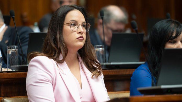 pavkov:-za-nedelju-dana-plan-sanacije-i-obnove-deliblatske-pescare-od-2027-do-2031.