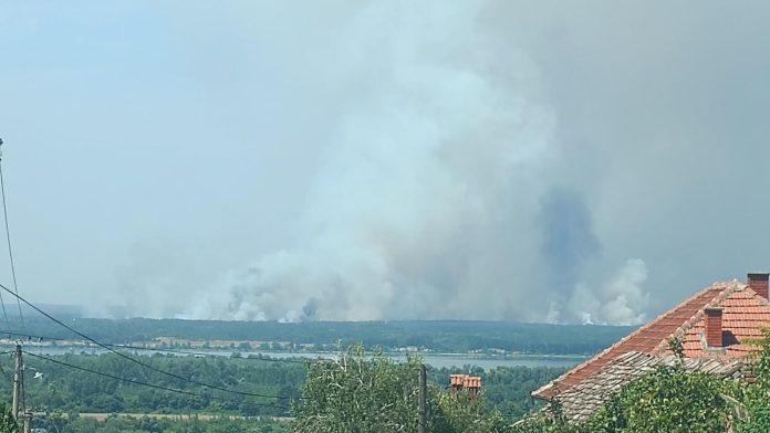(foto)-vatra-iz-deliblatske-pescare-vidi-se-i-iz-pozarevca,-25-km-dalje!-glamocic-i-causic-na-terenu:-“jacanje-vetra-otezava-situaciju”