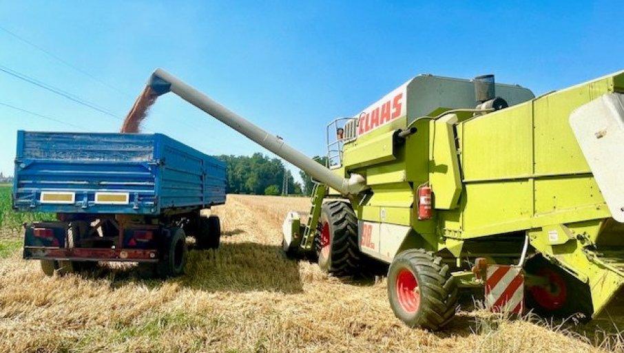 znacajno-porastao-izvoz:-rusija-zadrzala-liderstvo-u-izvozu-psenice znacajno-porastao-izvoz:-rusija-zadrzala-liderstvo-u-izvozu-psenice