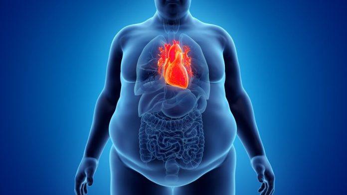 kombinacija-koja-duplira-rizik-od-smrti!-ako-imate-stomicic-i-manjak-ovog-vitamina,-u-velikoj-ste-opasnosti:-naucnici-otkrili-strasne-podatke!