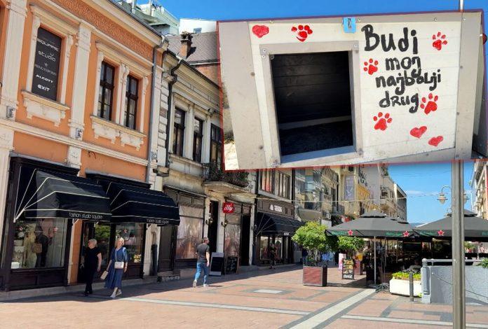 alarm-u-nisu-zbog-copora-pasa!-gradski-vecnik-za-kurir-televiziju-otkrio-sta-se-desava-na-obodima-grada:-“ne-smemo-da-dozvolimo-da-neko-izgubi-zivot”