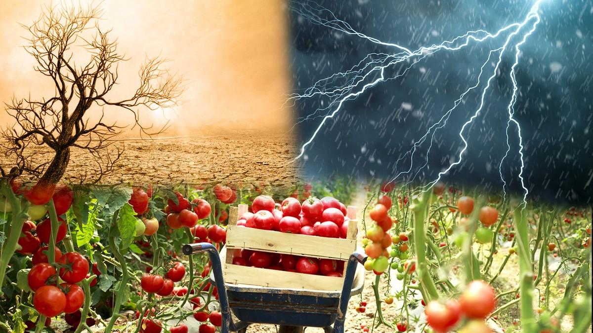 evropa-placa-visoku-cenu-za-klimatske-ekstreme:-najveci-teret-pada-na-drzavne-budzete evropa-placa-visoku-cenu-za-klimatske-ekstreme:-najveci-teret-pada-na-drzavne-budzete