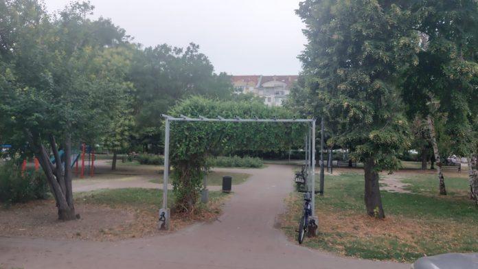 decaka-(15)-tukli-palicama,-zavrsio-na-intenzivnoj-produzen-pritvor-osumnjicenima-za-pokusaj-ubistva-maloletnika-u-novom-sadu:-nasrnuli-na-grupu-mladih-u-parku-kod-medicinske-skole