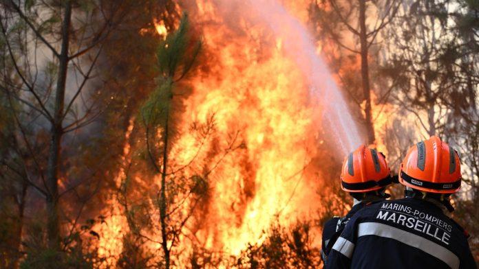 kraj-dvomesecne-borbe-sa-vatrenom-stihijom-konacno-ugasena-dva-velika-pozara-u-francuskoj:-izgorelo-5.700-hektara-zemljista