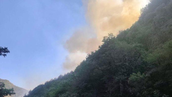 (foto)-vatra-bukti-uz-ibarsku-magistralu-kod-maglica:-vozaci,-oprez,-uslovi-za-voznju-mogu-biti-otezani