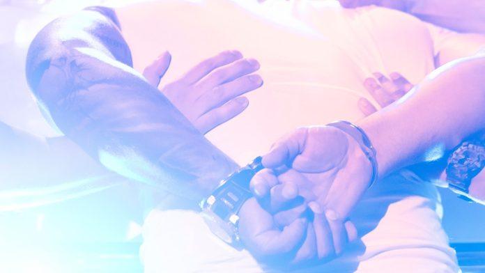 francuzi-pali-na-“derdapu-2”-u-kolima-svercovali-semenke-kanabisa-i-municiju,-policija-ih-odmah-uhapsila