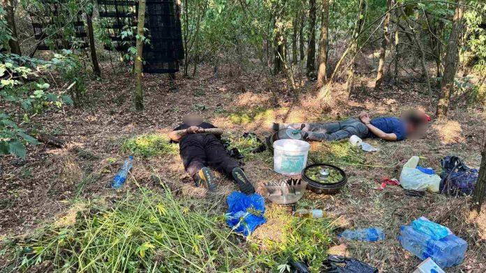 (foto,-video)-policija-upala-u-laboratoriju-droge-u-grockoj-pohapsili-dilere-dok-su-seckali-marihuanu,-zaplenjeno-cak-30-kilograma-droge!