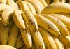 SAV ROD PRODAJU UNAPRED: Porodica iz Podravine gaji indijanske banane, kilogram 7,8 evra sav-rod-prodaju-unapred:-porodica-iz-podravine-gaji-indijanske-banane,-kilogram-7,8-evra