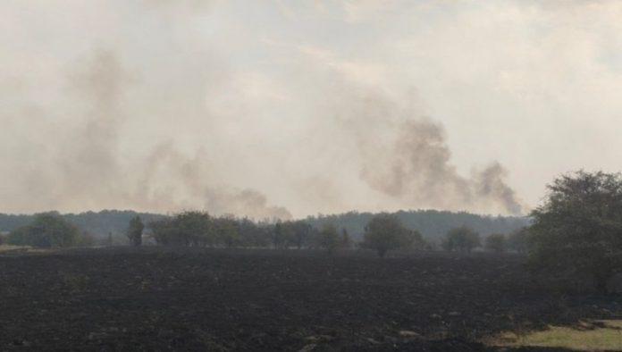 dramaticna-noc-u-susari:-do-dva-sata-iza-ponoci-se-borili-sa-vatrom,-mestani-bili-spremni-na-evakuaciju