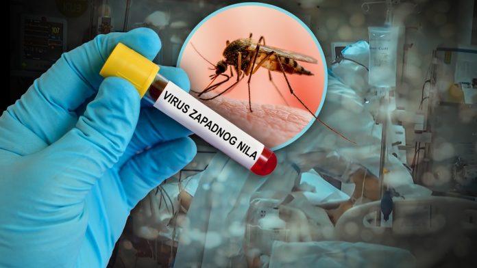 opasan-virus-se-prosirio-u-10-zemalja-evrope,-medu-njima-i-srbija!-u-tezim-slucajevima-moze-da-dospe-u-mozak-i-izazove-komu,-vakcine-ne-postoje