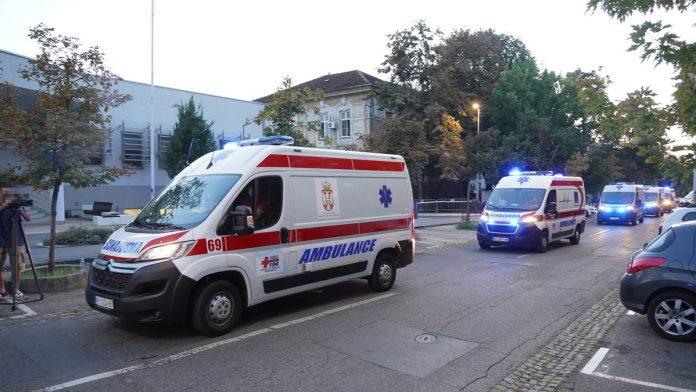 devojcicu-(8)-izujedao-pas-u-mladenovcu-prisla-porodicnom-sarplanincu,-on-je-napao-vise-puta,-hitno-prevezena-u-tirsovu