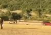 (UZNEMIRUJUĆI VIDEO) Džipom GAZIO LJUDE po livadi, pa BEŽAO OD POLICIJE! Horor tokom konjičkih trka (uznemirujuci-video)-dzipom-gazio-ljude-po-livadi,-pa-bezao-od-policije!-horor-tokom-konjickih-trka