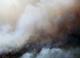“NAJMANJE DVA VATRENA TORNADA ZABELEŽENA U DELIBLATSKOJ PEŠČARI” Isplivao jezivi snimak kretanja ISTORIJSKE buktinje u Srbiji: “Od vikenda stižu DUGOVEČNI OLUJNI SISTEMI” “najmanje-dva-vatrena-tornada-zabelezena-u-deliblatskoj-pescari”-isplivao-jezivi-snimak-kretanja-istorijske-buktinje-u-srbiji:-“od-vikenda-stizu-dugovecni-olujni-sistemi”